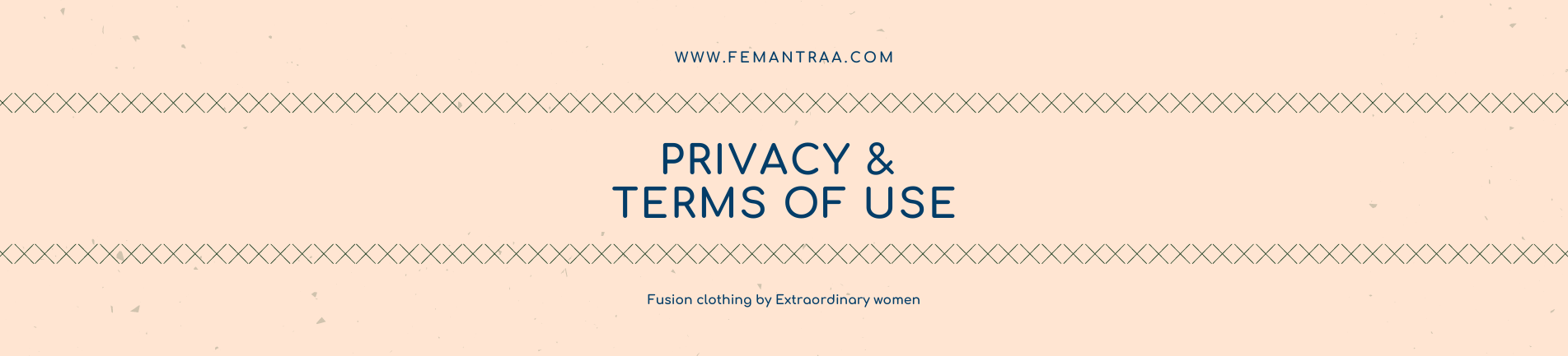 Privacy and Terms of Use Banner