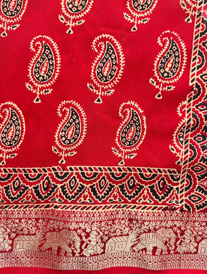 Ajrakh Saree with Zari Pallu - adorned with kairi and haathi motifs